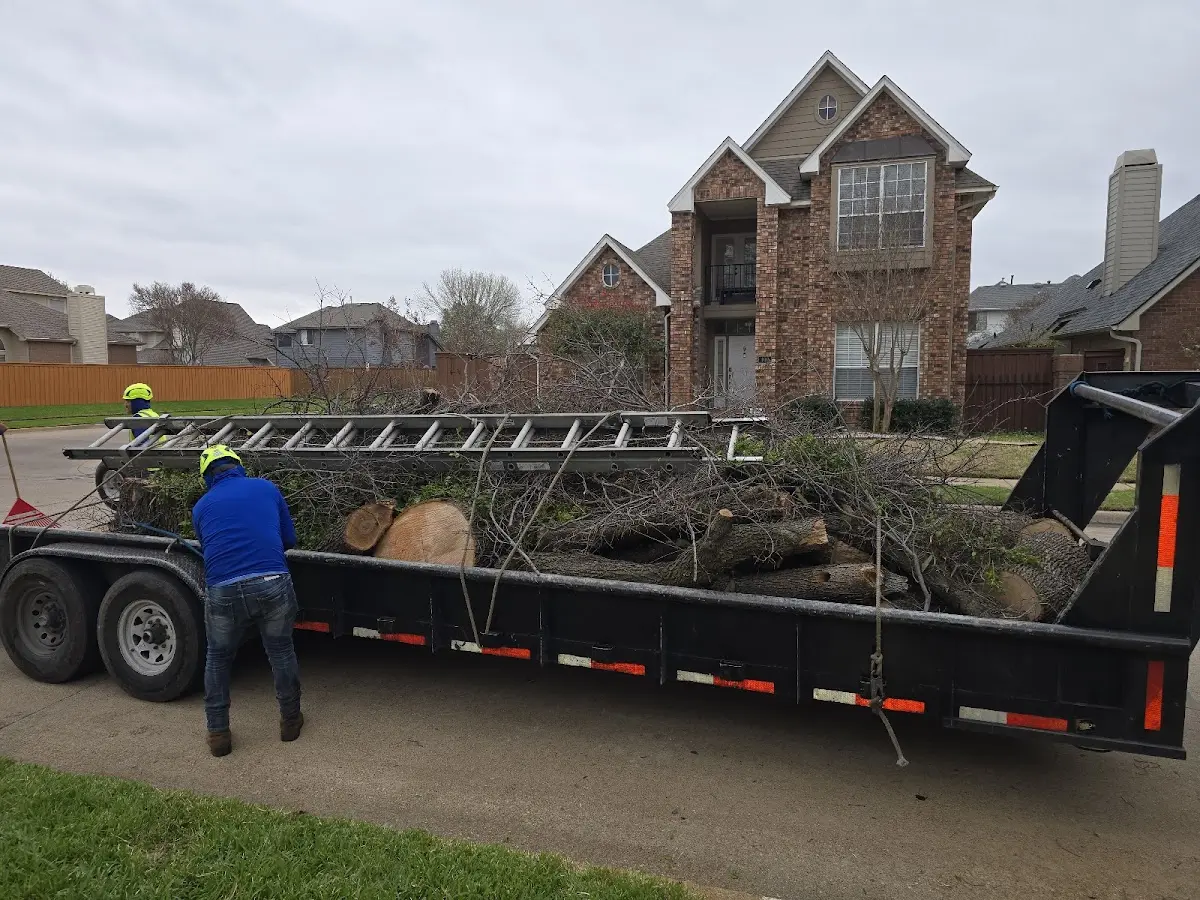 Expert Crown Reduction with proper safety equipment in Cedar Springs